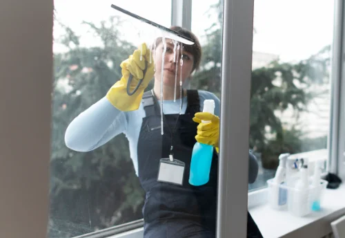 Nettoyage de vitres intérieures et extérieures à Vannes-le-Châtel
